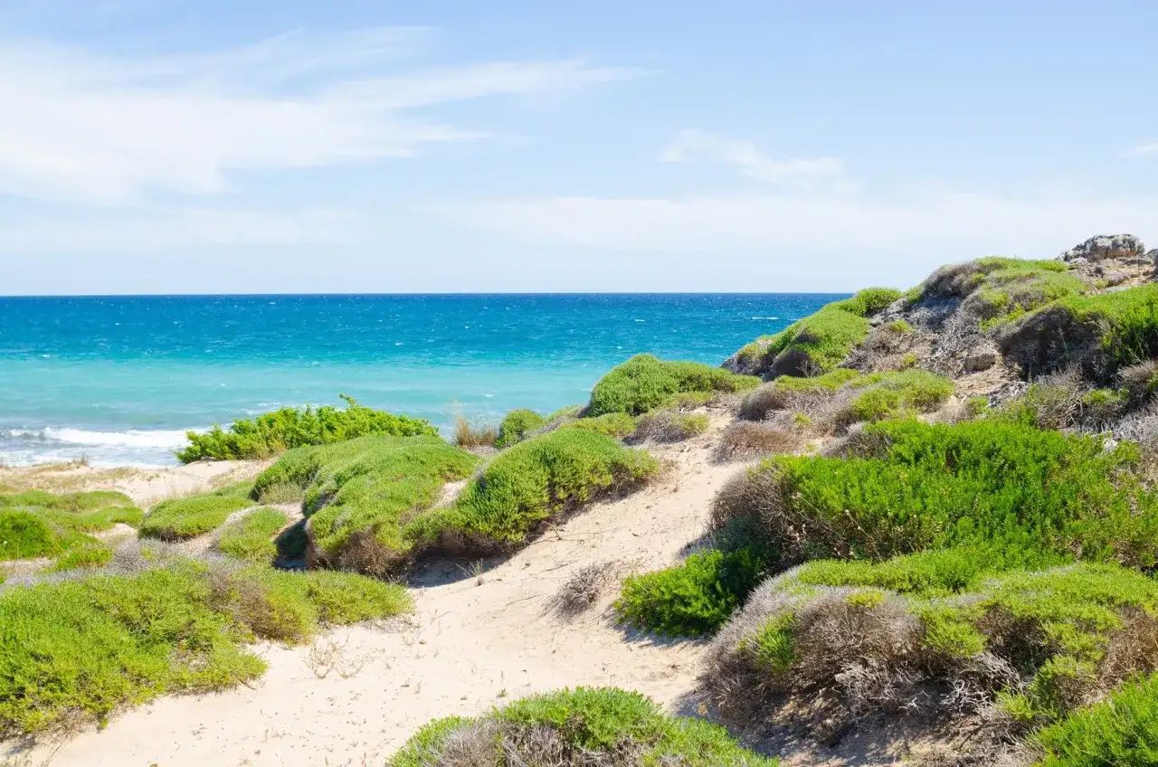 San Vincenzo in Toscana - spiagge, natura e cosa vedere
