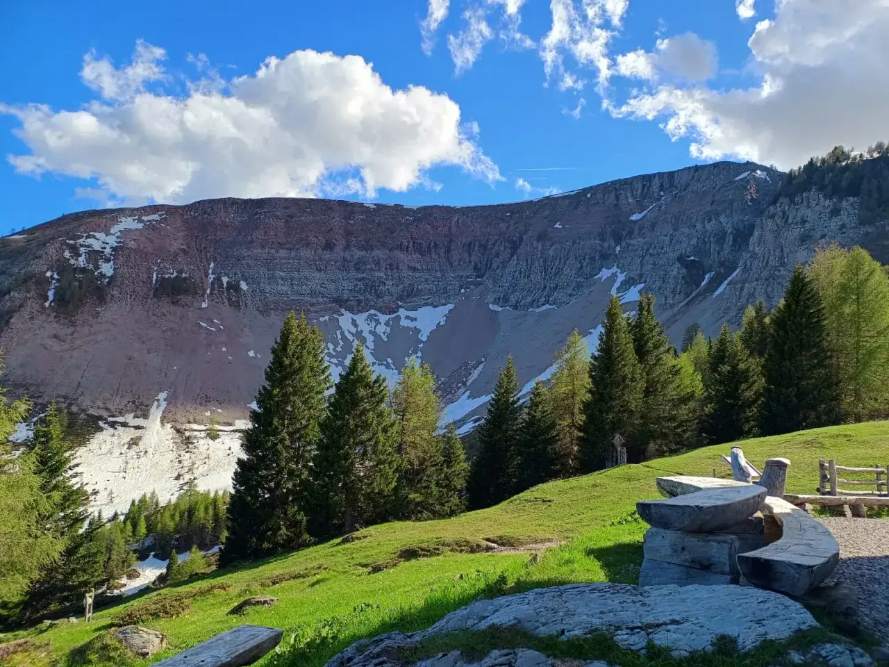 Imponente parete rocciosa del monte Peller, con chiazze di neve e abeti verdi su un prato fiorito. Panchine di legno invitano al riposo.