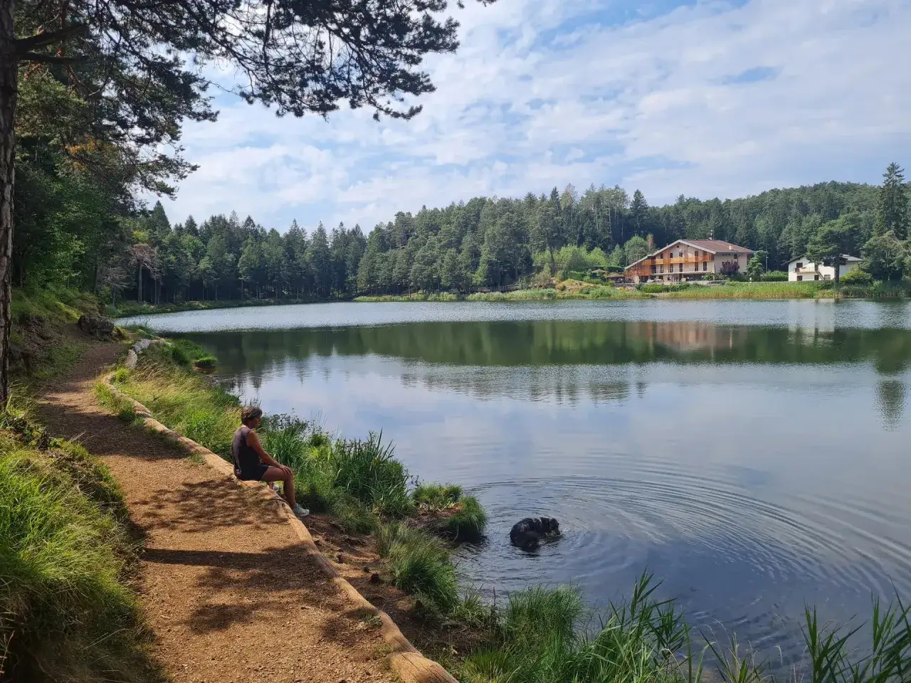 Una persona seduta sul sentiero del lago di Santa Colomba, con un cane che nuota nell'acqua limpida. Alberi e una casa sullo sfondo.