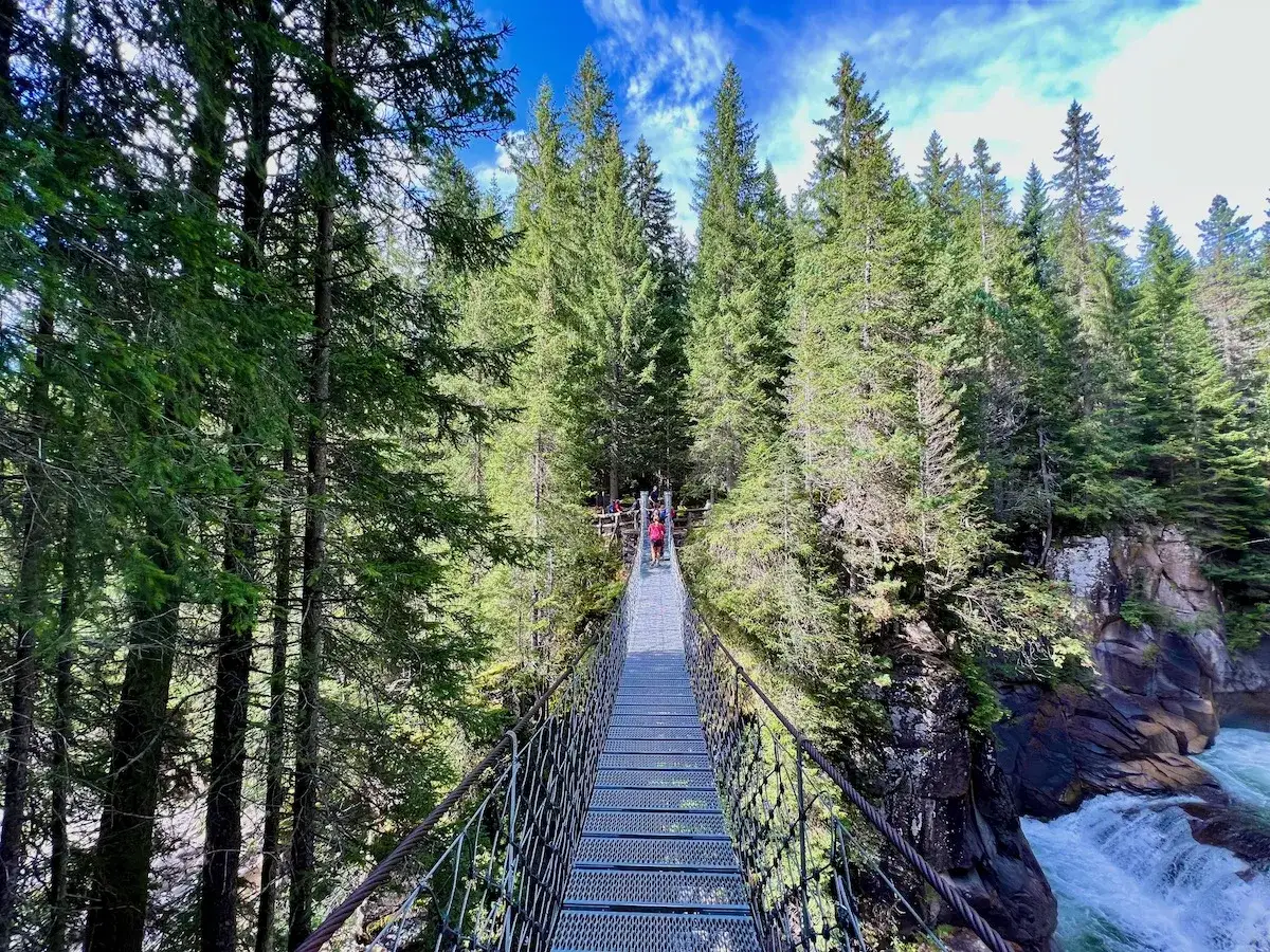 Un sentiero marciò attraversa un ponte sospeso su un fiume impetuoso, circondato da una fitta foresta di conifere.