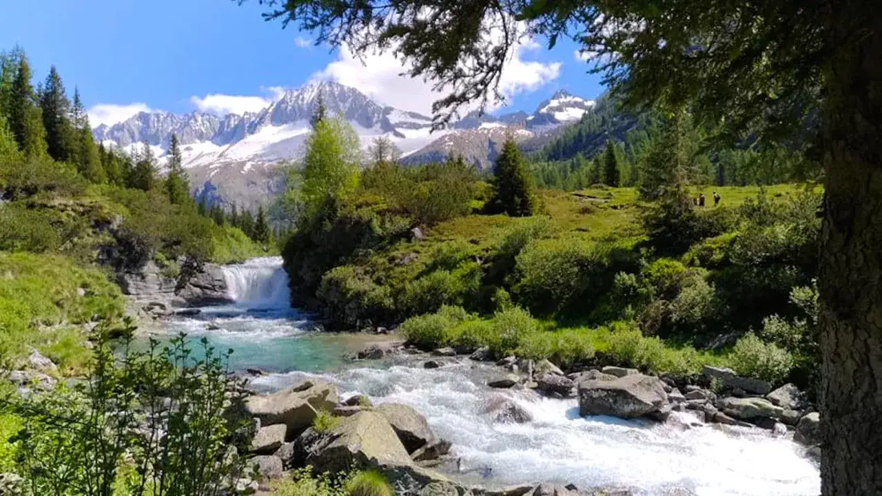 Un torrente impetuoso scorre tra rocce e vegetazione lussureggiante nella Val Daone, con montagne innevate sullo sfondo.