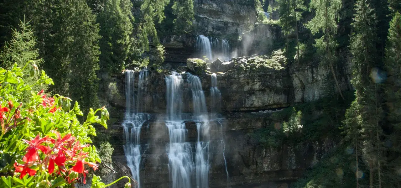 Cascate Vallesinella: un tripudio di acqua e verde. Fiori rossi in primo piano incorniciano la maestosa cascata che scende tra le rocce e gli alberi.