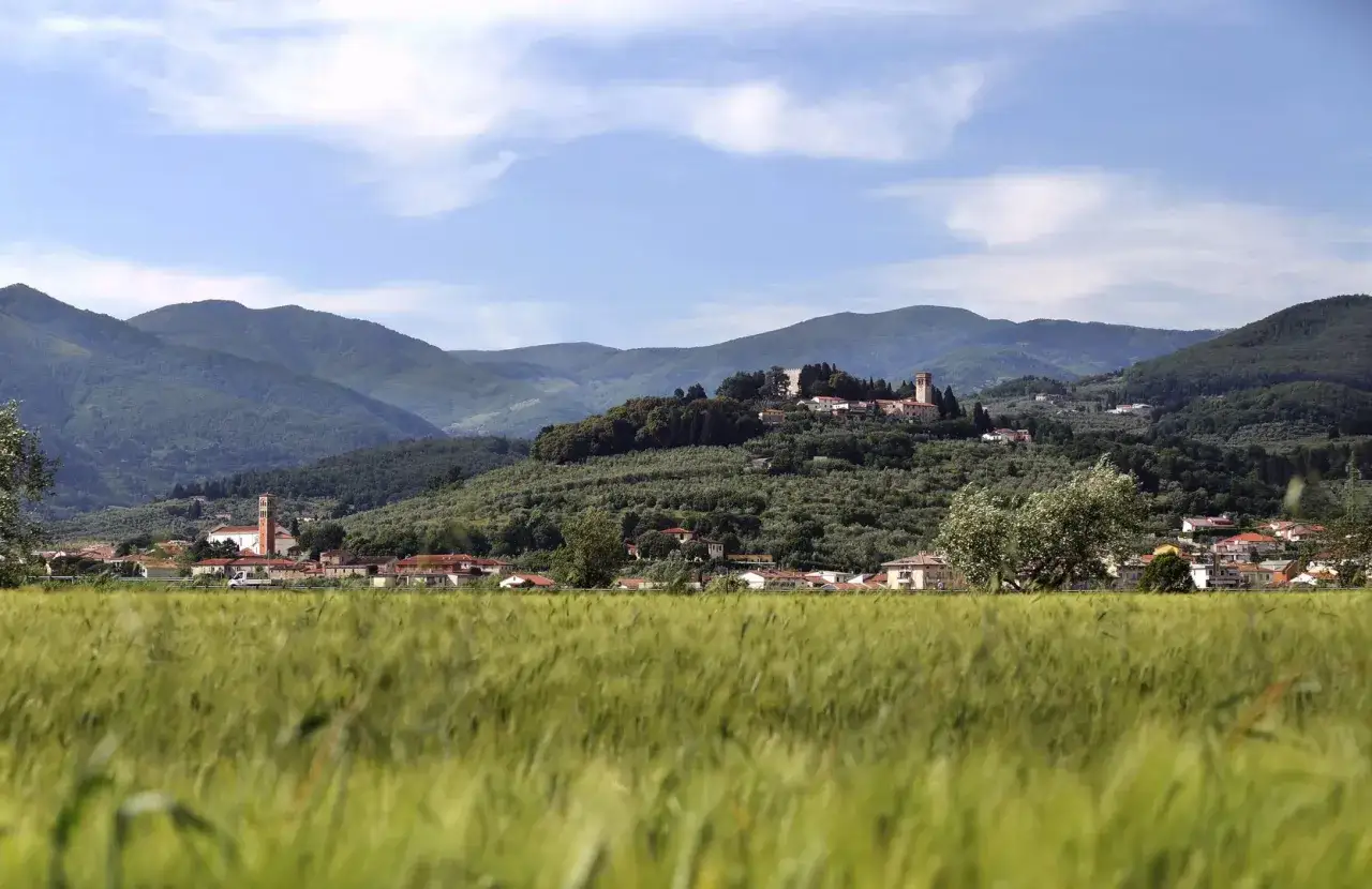 Campi verdi e colline con uliveti circondano Montemurlo, dove si trova un borgo con un campanile e un castello in cima.