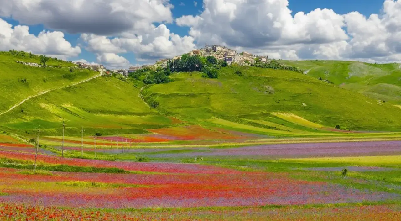 Campi fioriti ai piedi del borgo di Castelluccio di Norcia, con colline verdi e cielo azzurro.