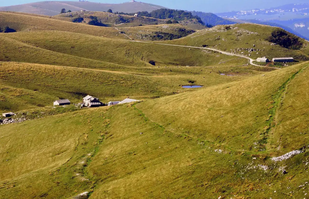 Dolci colline verdi con sentieri serpeggianti e piccole costruzioni che ricordano la malga Fratte Vezzena.