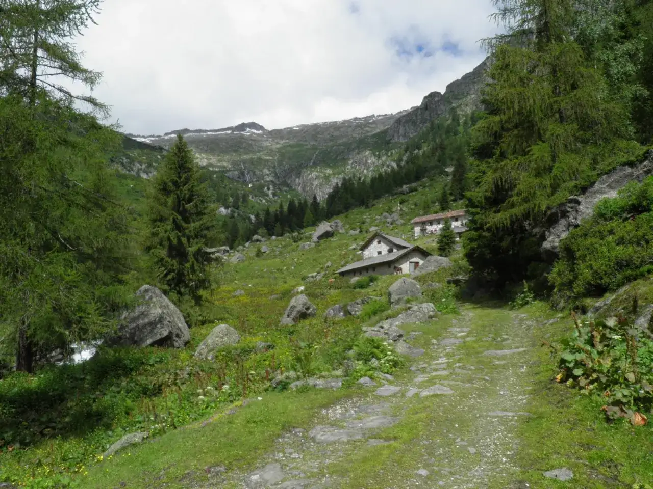 Sentiero roccioso verso il rifugio Trivena, immerso nel verde alpino con montagne sullo sfondo.
