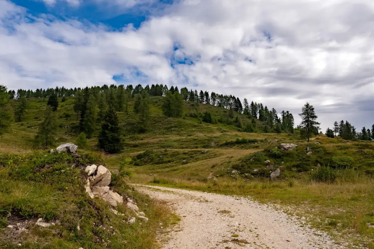 Sentiero sterrato sale verso la malga Casapinello, circondata da verdi pendii e boschi di conifere sotto un cielo nuvoloso.