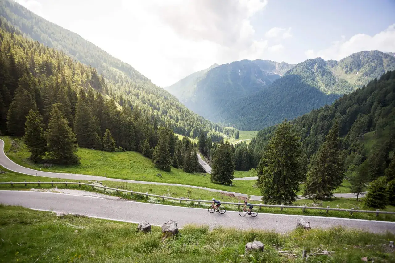 Ciclisti affrontano le curve del Passo Manghen, immersi in un paesaggio alpino di boschi e montagne verdi.