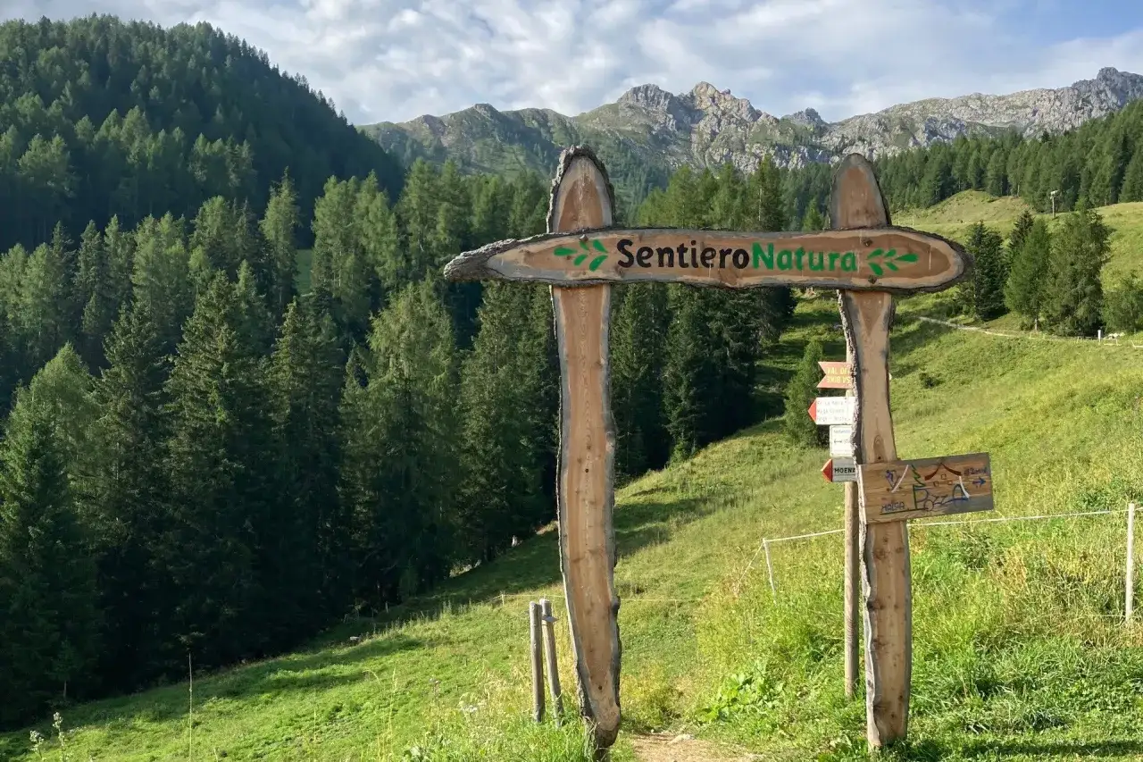 Segnavia in legno per il Sentiero Natura vicino al rifugio Refavaie, con montagne e boschi sullo sfondo.