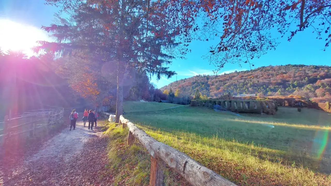 Passeggiata autunnale verso il rifugio Sauch, con un gruppo di escursionisti e cani su un sentiero tra alberi e colline.