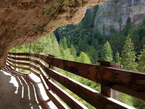 Sentiero panoramico San Romedio scavato nella roccia, con parapetto in legno e vista su una foresta di abeti.