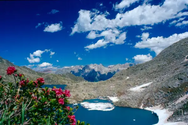 Un incantevole giro dei 5 laghi alpini, con fiori rosa in primo piano e montagne maestose sullo sfondo.
