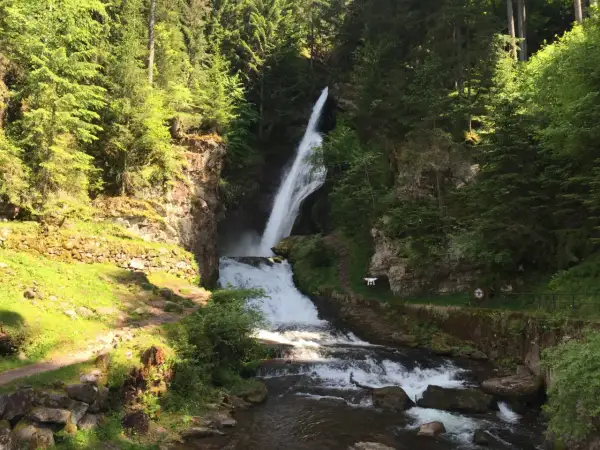 A tall waterfall cascades down a rocky cliff face surrounded by lush green trees.